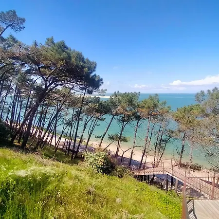 Сasa de vacaciones Gîte avec piscine et espace bien-être partagés entre Bordeaux et Lacanau océan Brach